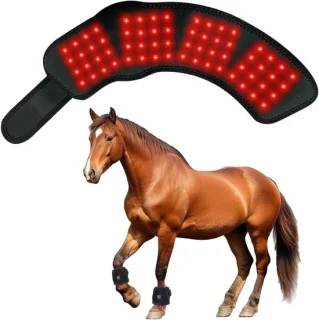 Paarden roodlicht mat 45 x 10 cm zwart