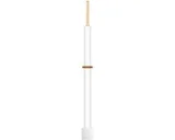 Zilveren plaat elektrode 10x10x0.1mm