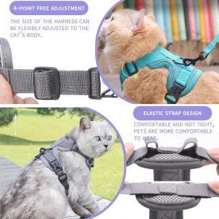 Kat tuig en riem set verstelbaar 150 cm