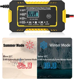 PolkaHome® Slimme Acculader 12V 6A