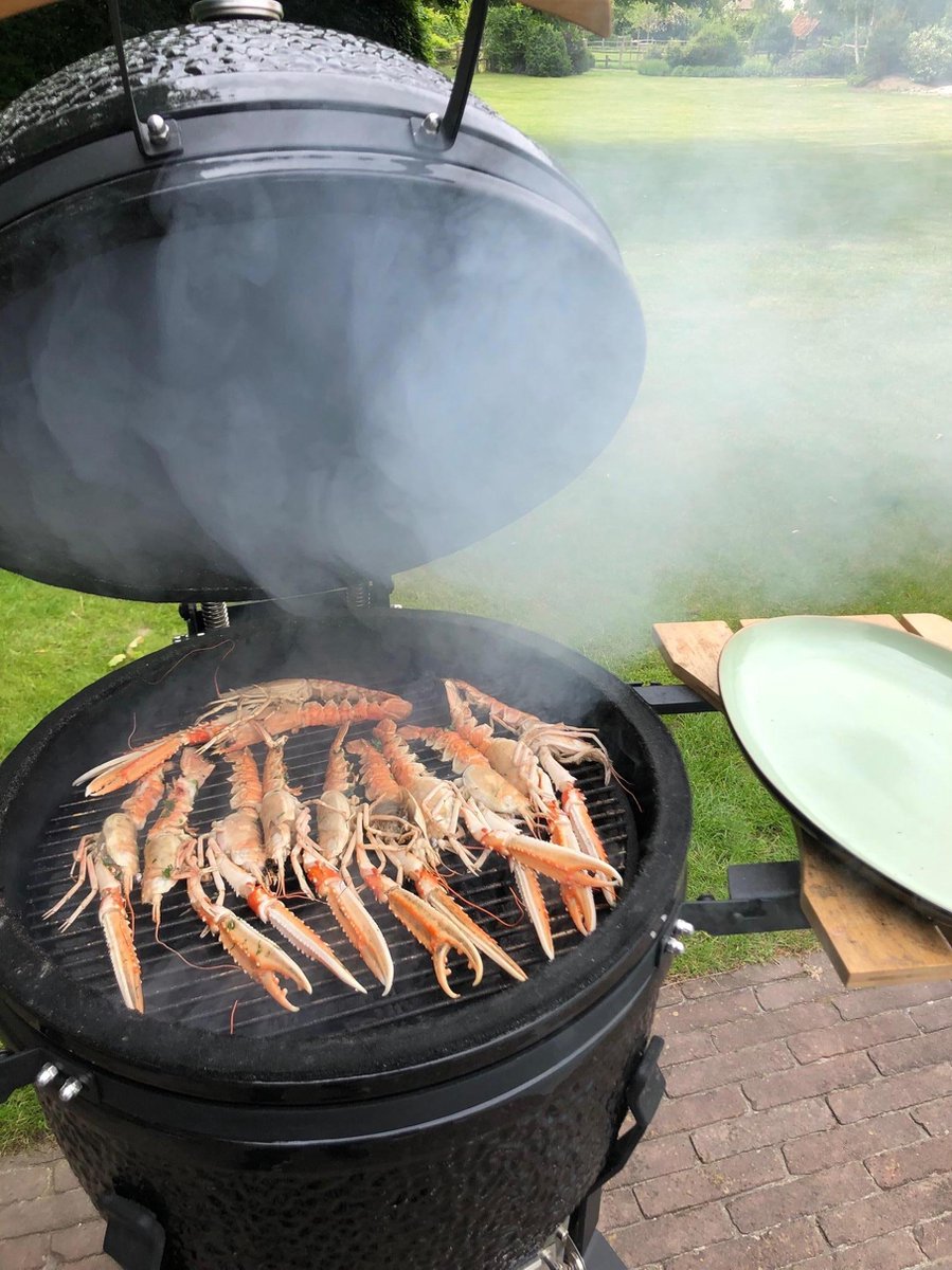 Kamado Grill Large 55 Zwart
