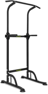 Multifunctioneel Rek - Dip- en Pull-Up Station met Rugsteun en Tot 150kg Capaciteit