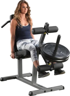 Body-Solid Seated Leg Extension & Supine Curl