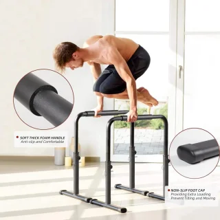Calisthenics Dipstation