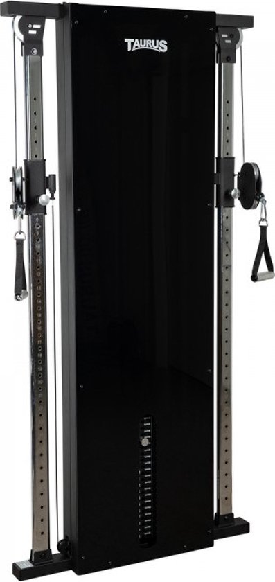 Design Line Dual Pulley 66 kg Graphite