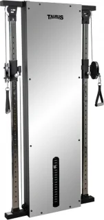 Design Line Dual Pulley 66 kg met spiegel