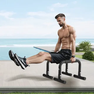 Dip-Station Parallettes