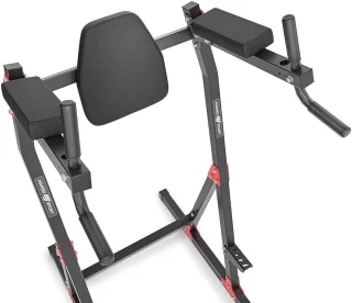 Dipstation Multi-Gym