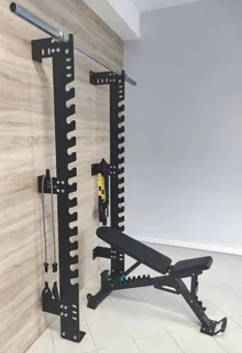 Evolve Fitness WR-035 Wall Mount Rack