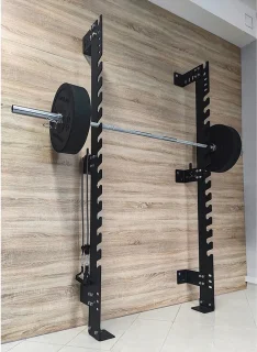 Evolve Fitness WR-035 Wall Mount Rack
