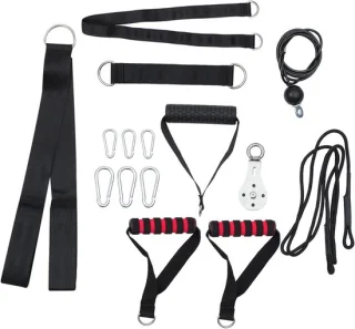Fitness pulley set