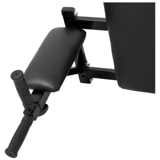 Gorilla Sports Ab Dip Combi Station