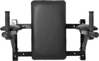 Gorilla Sports Ab Dip Combi Station