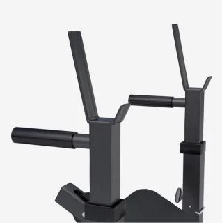 Gorilla Sports Fitnessbank Lat Pulley Zwart