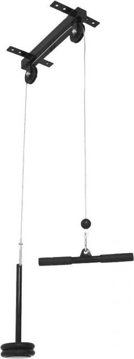 De Gorilla Sports Lat Pulley Dakmontage 150 kg in één oogopslag
