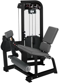 Hammer Strength by Life Fitness Select Leg Extension