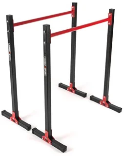HomeGym Dip Stand Verstelbaar