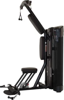 Inspire DUAL Station Biceps Triceps