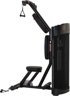 Inspire DUAL Station Biceps Triceps