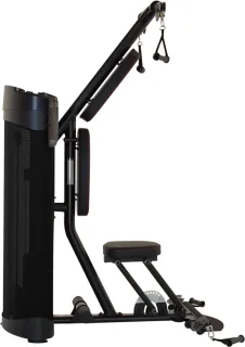 Inspire DUAL Station Biceps Triceps