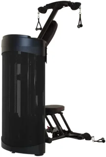 Inspire DUAL Station Biceps Triceps