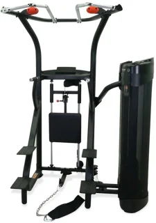 Inspire DUAL Station Chin Up Trainer