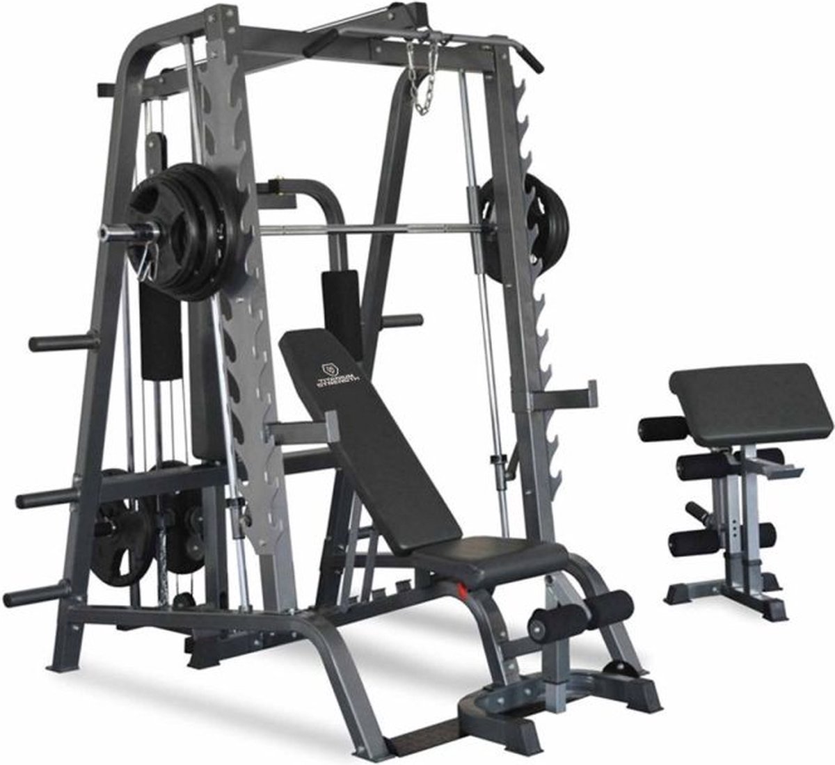 De Multipower Titanium Strength 160ST met Verstelbare Bank en Scott in één oogopslag