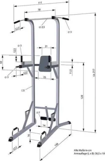 RS Sports Power Tower Chin & Dip Station Black Edition