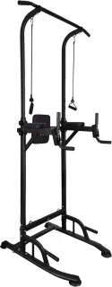SOUTHWALL Krachtstation 2-in-1 Power Tower en Dip Station Zwart