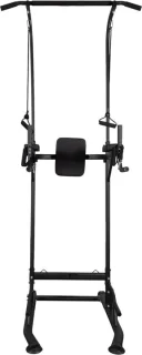 SOUTHWALL Krachtstation 2-in-1 Power Tower en Dip Station Zwart
