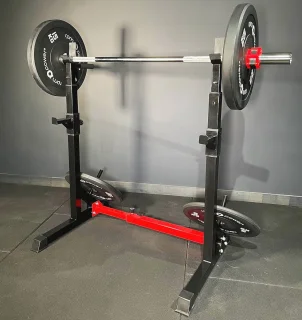 Squat- en Dipstation