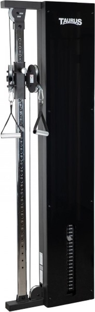 De Taurus Design Line Single Pulley 90 kg graphite in één oogopslag