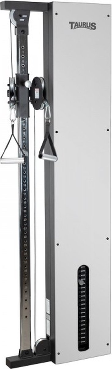 Wat vinden we goed aan de Taurus Design Line Single Pulley 90 kg graphite