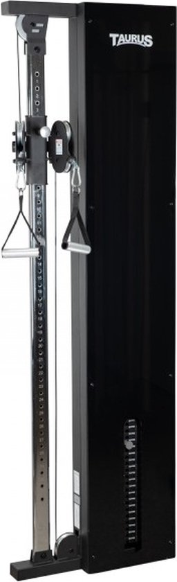 Taurus Design Line Single Pulley 90 kg graphite review