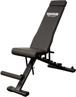 Taurus Flexicon Trainingsbank