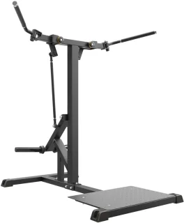 Taurus IFP Standing Chest Fly