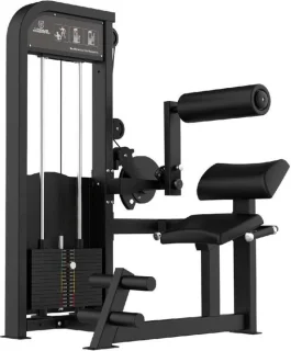 Titanium Strength Elite Series Abdominal & Back Extension