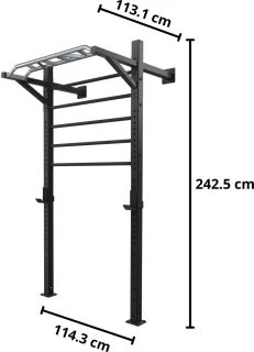 Toorx LDX-5000 Wallbar Staal Wandrek