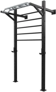Toorx LDX-5000 Wallbar Staal Wandrek