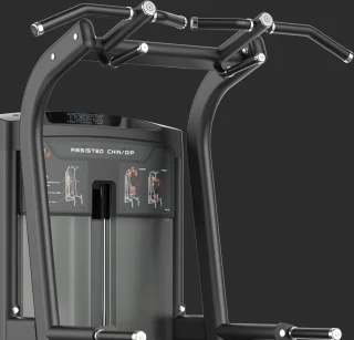 Toorx PLX-8400 Pull-up / Dip Station Professional