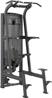 Toorx PLX-8400 Pull-up / Dip Station Professional