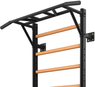 Toorx Professional LDX-3000 Wallbar Beukenhout Wandrek
