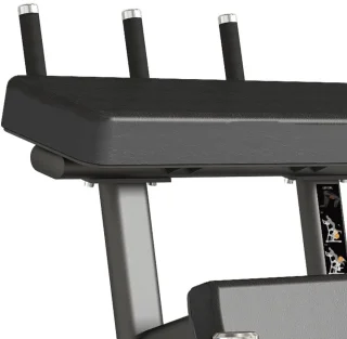 Toorx Standing Leg Curl FWX-9500
