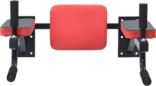 VidaXL Dipstation Zwart/Rood