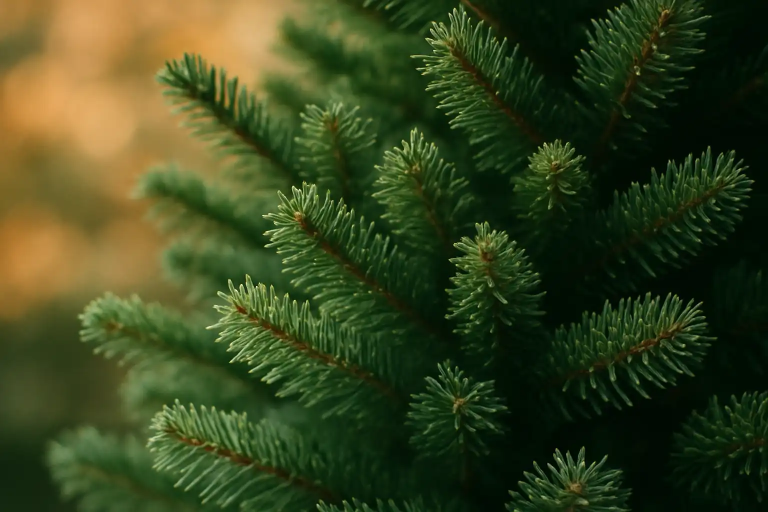 Kunstkerstboom met PE-naalden of PVC: zo herken je een volle, realistische boom die niet van echt te onderscheiden is