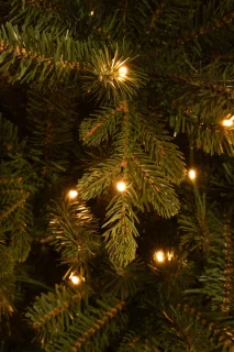 Black Box Trees Harma Kunstkerstboom met LED Verlichting - H215 x Ø96 cm - Groen