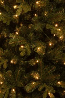 Black Box Trees Harma Kunstkerstboom met LED Verlichting - H215 x Ø96 cm - Groen