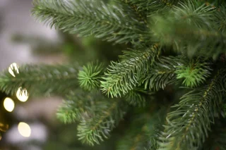 Kentucky kunstkerstboom - 213 cm - groen - Ø 135 cm - houten voet