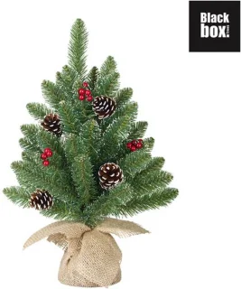 Black Box Kunstkerstboom Creston - 35x35x45 cm - Pvc - Besneeuwd,Groen