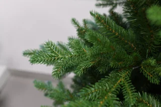 Vienna fir hinged 228cm